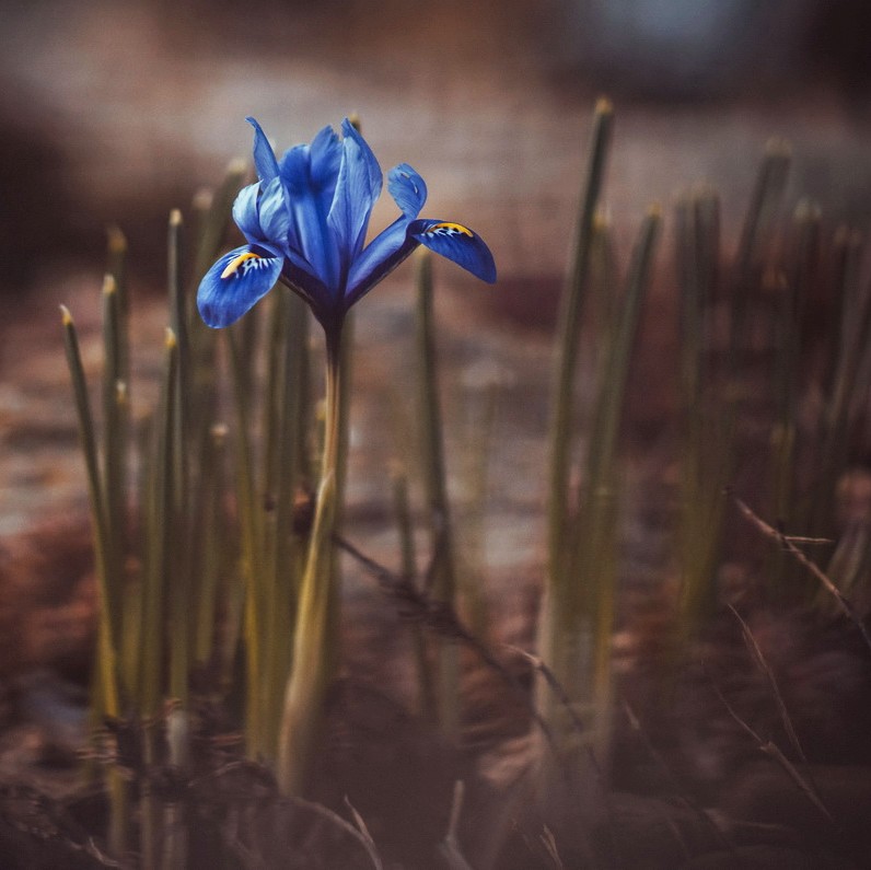 Příloha komentáře