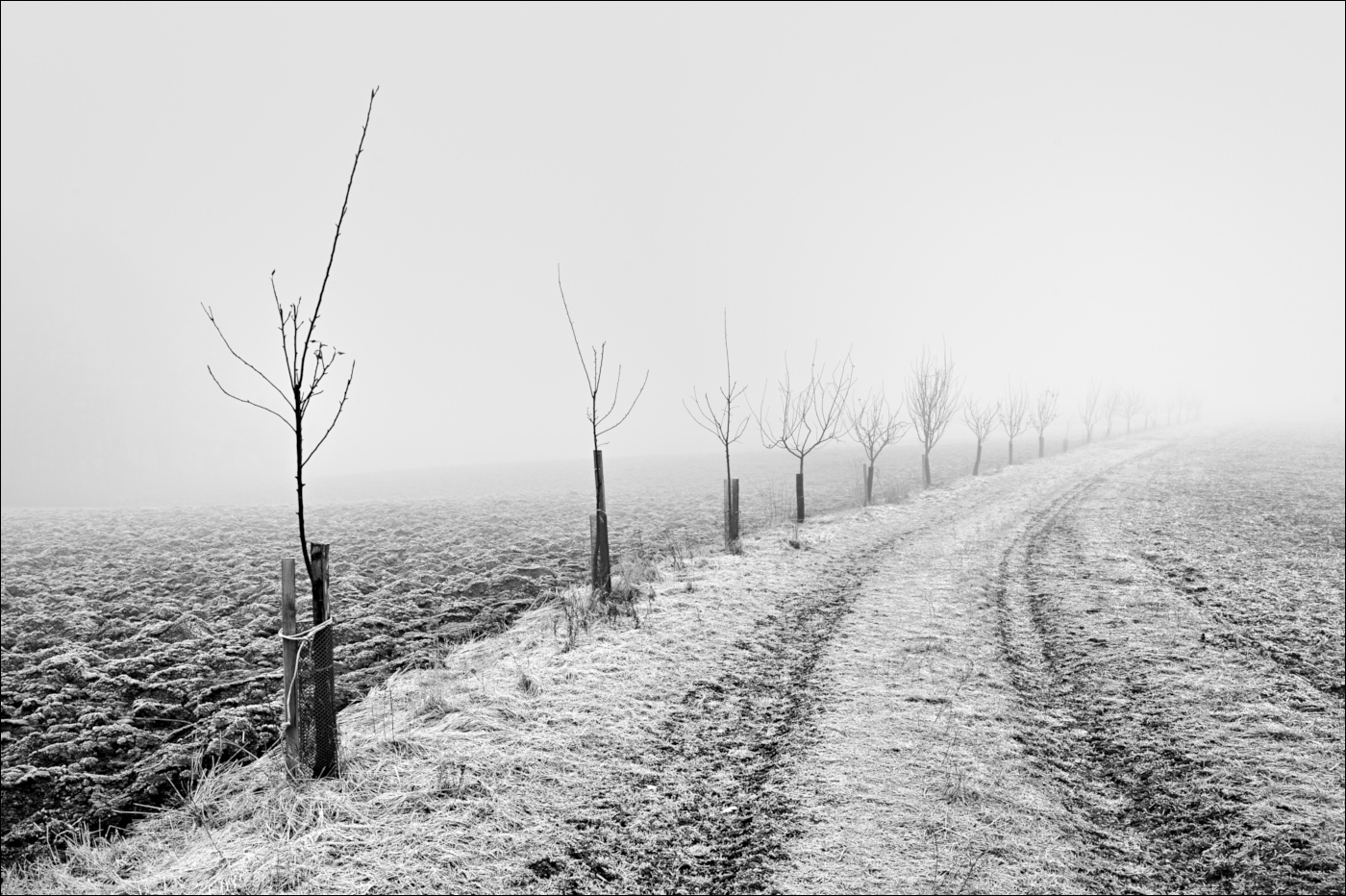 Příloha komentáře
