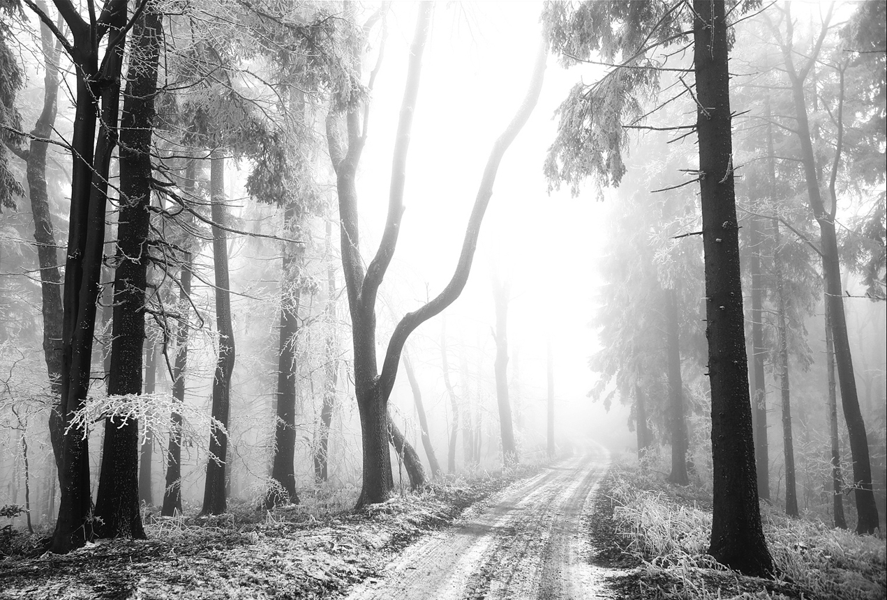 Příloha komentáře