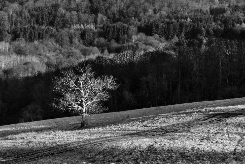 Příloha komentáře