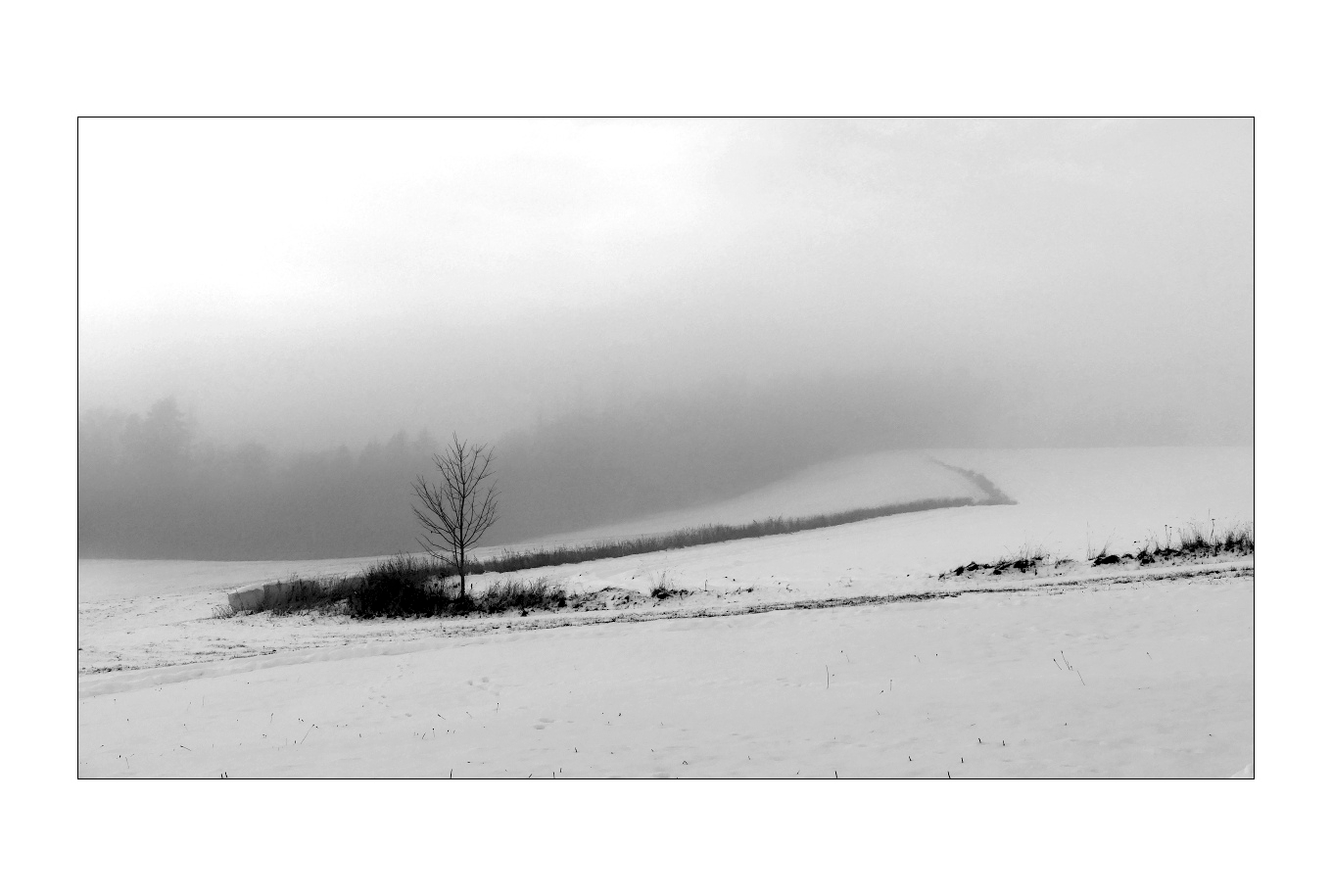 Příloha komentáře