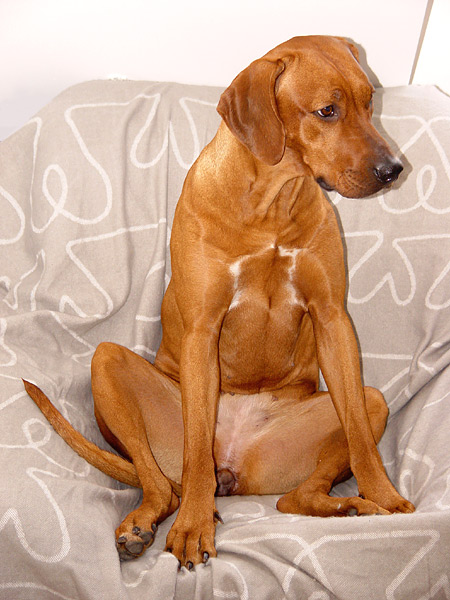 Soutěžní fotka
