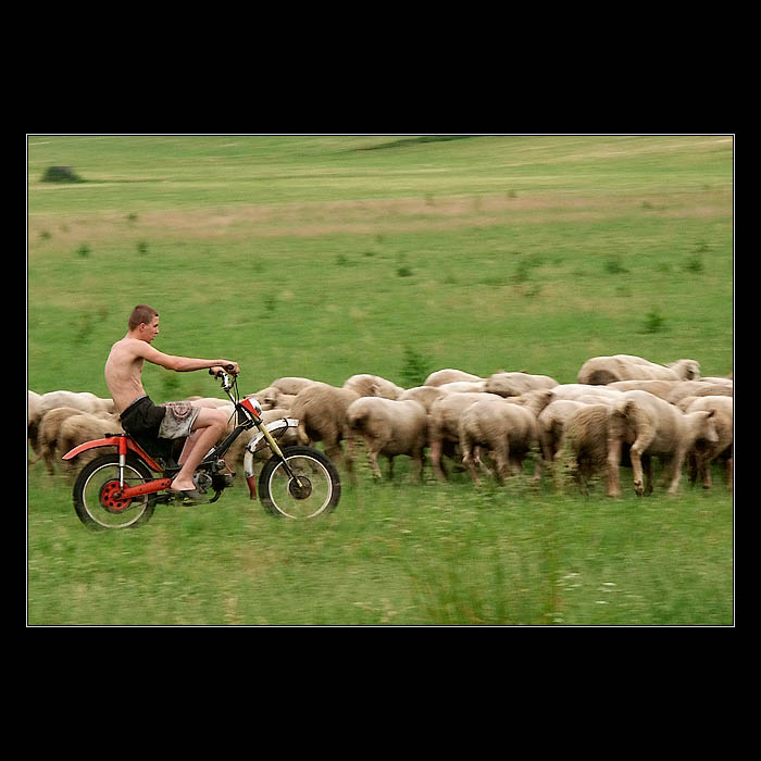 Soutěžní fotka