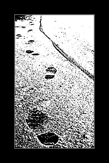 Soutěžní fotka