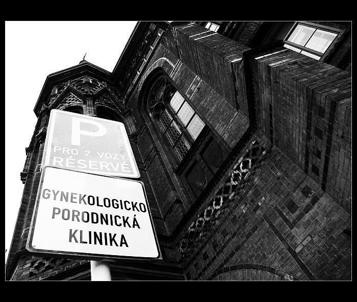 Soutěžní fotka