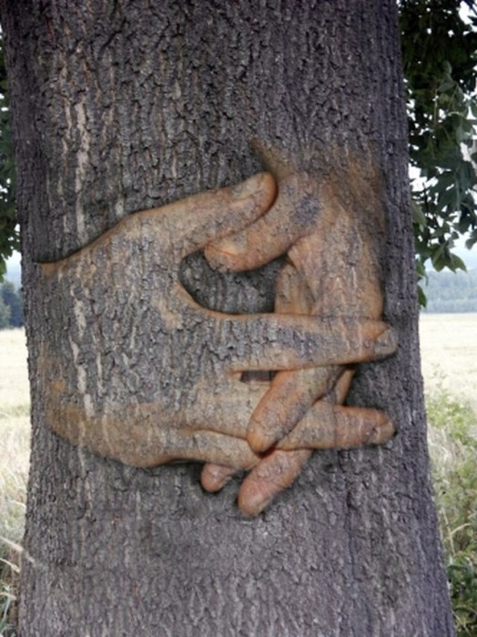 Soutěžní fotka