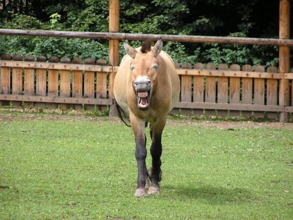 Soutěžní fotka