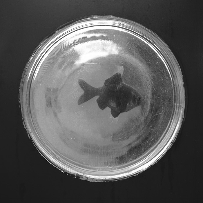 Soutěžní fotka