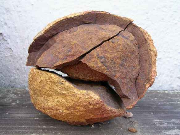 Soutěžní fotka