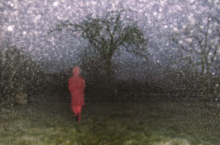 Soutěžní fotka