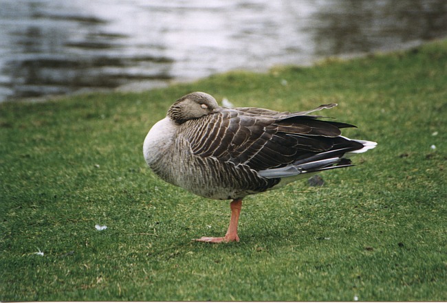 Soutěžní fotka