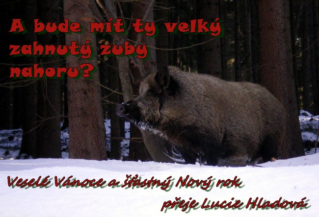Soutěžní fotka