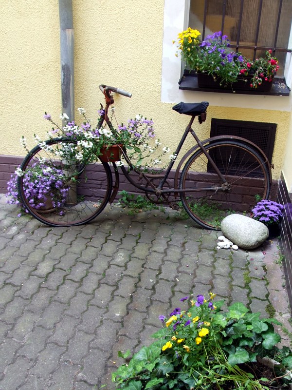 Soutěžní fotka