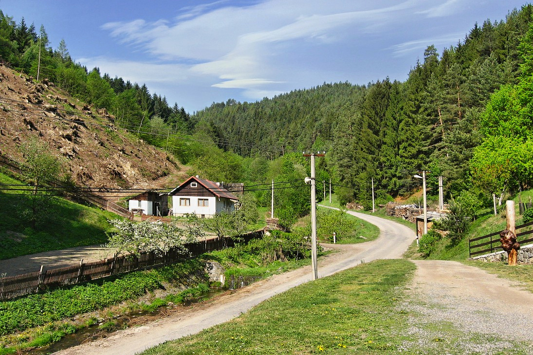 Soutěžní fotka
