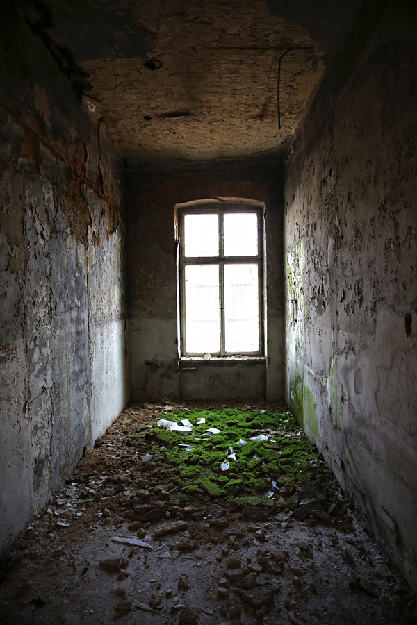 Soutěžní fotka
